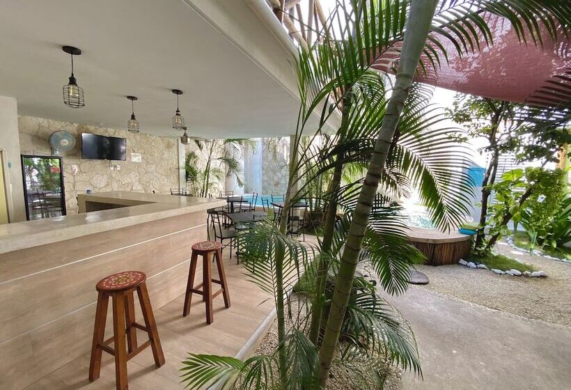 Bed and Breakfast Pacha Tulum