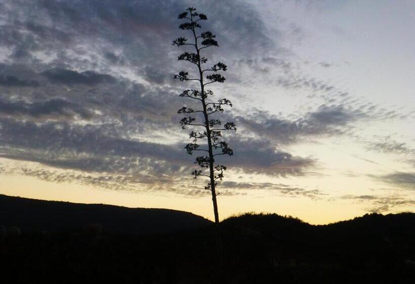 צימר Quinta Estrella