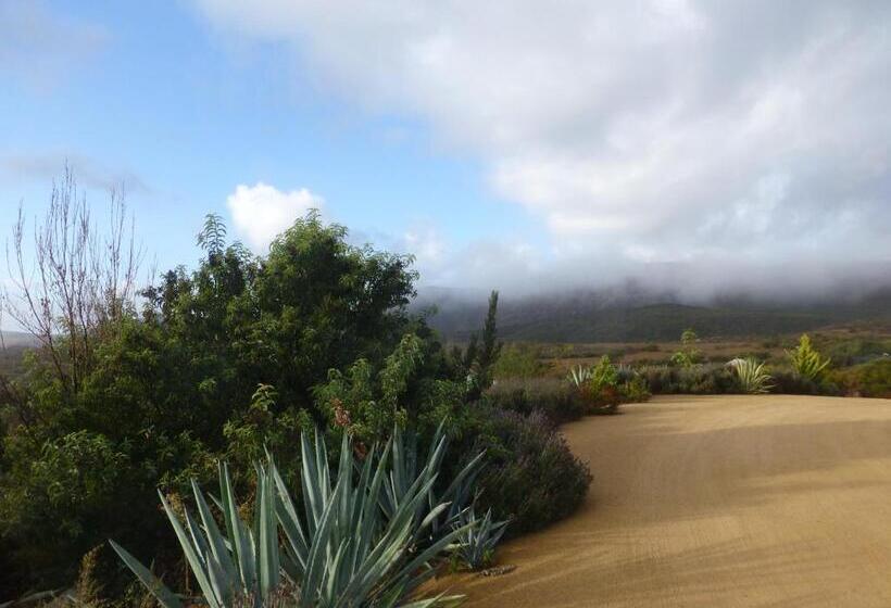 צימר Quinta Estrella