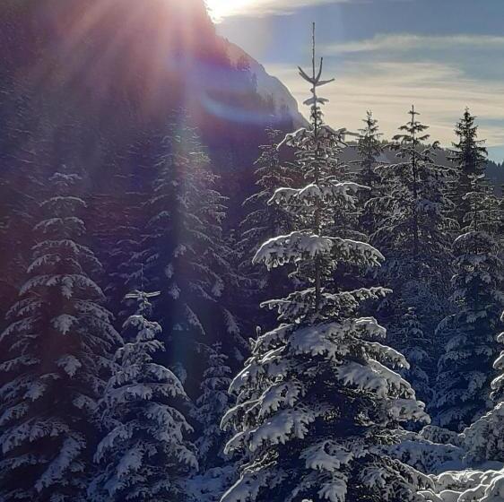 호텔 Garni Franca B&b