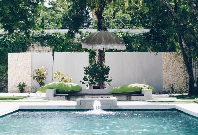 فندق Aqua Viva Tulum