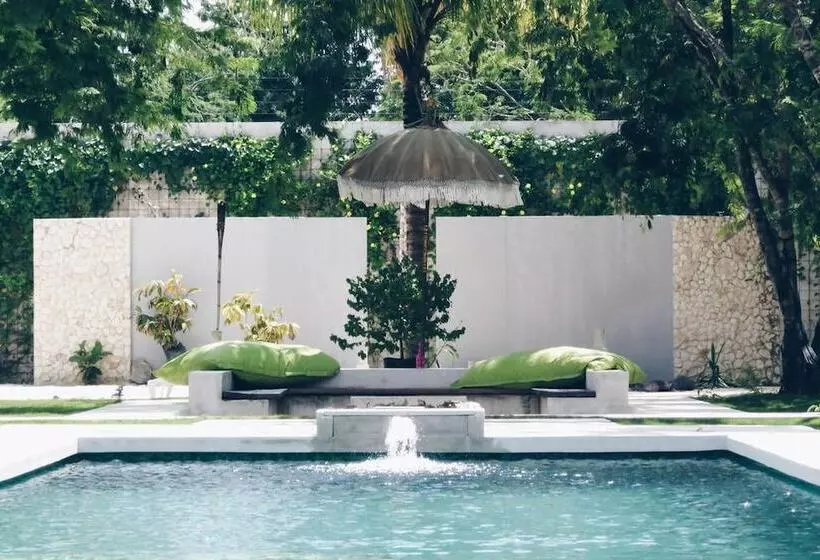 هتل Aqua Viva Tulum