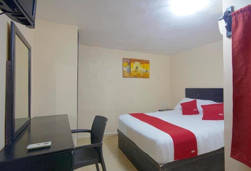 فندق Bicentenario