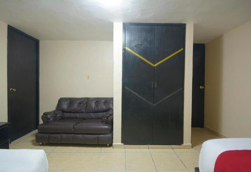 فندق Bicentenario