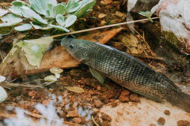 فندق Boutique Teocalli