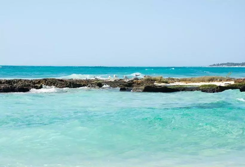 هتل Caleta Tankah