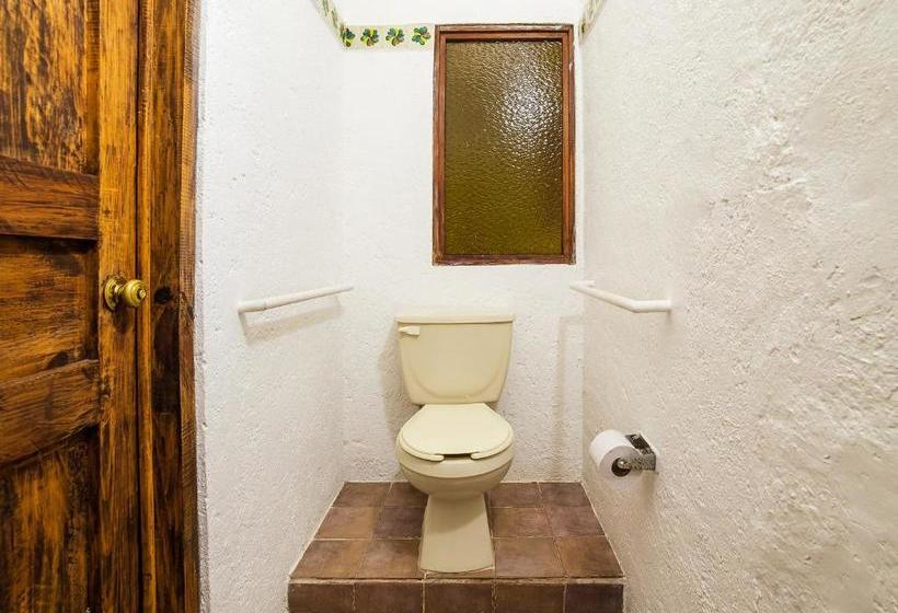 בית מלון כפרי Capital O Amatlán