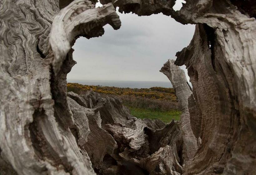 Отель Porto Do Barqueiro