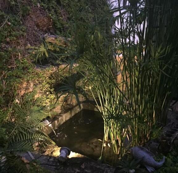 בית מלון כפרי San Miguel Arcangel