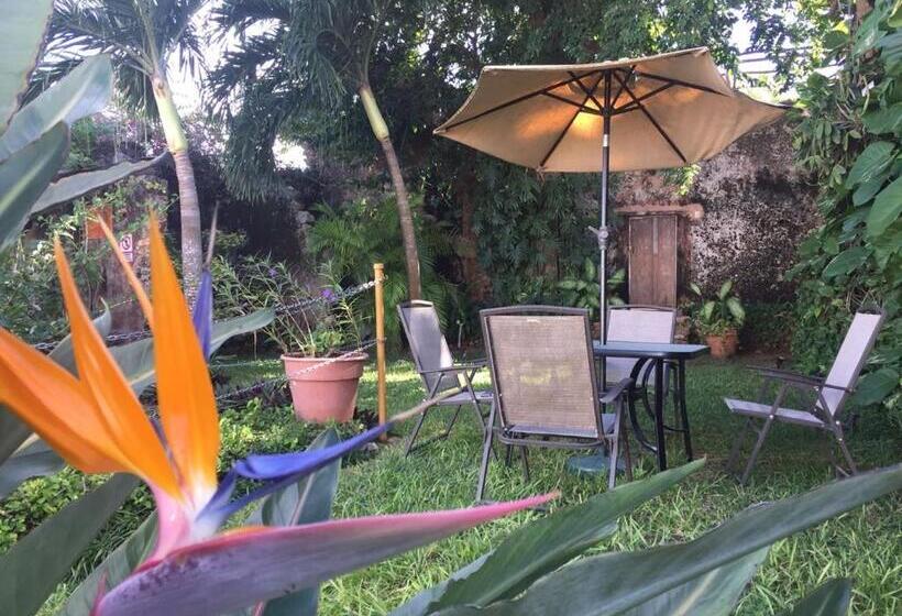 בית מלון כפרי San Miguel Arcangel