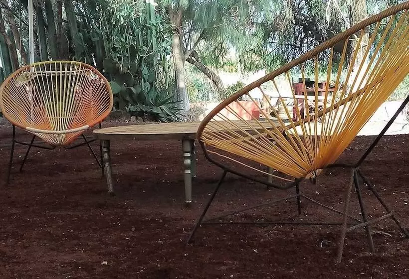 ホテル Temazcal Tepeyolohtli