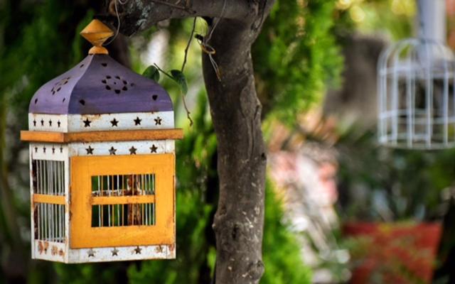 فندق Boutique Teocalli