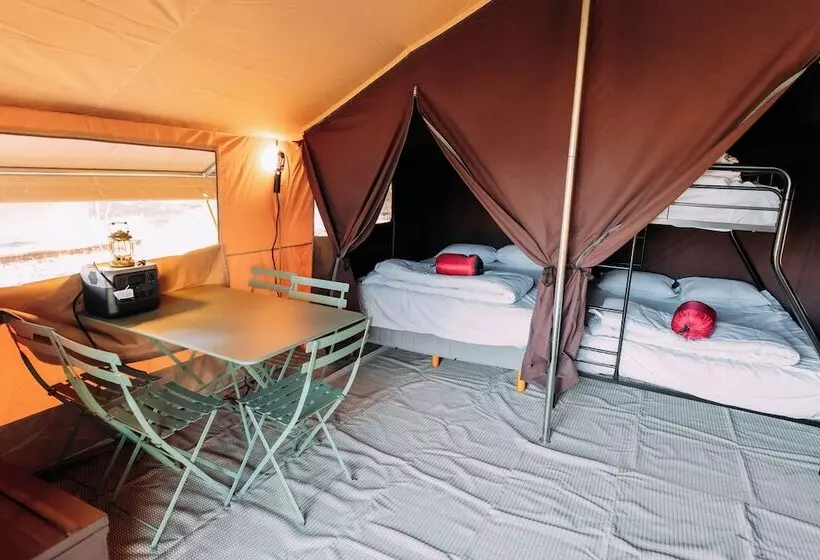 Hotelli White’s Landing Catalina Camp