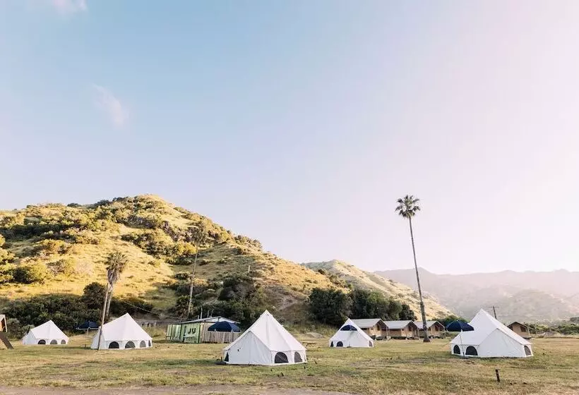 Hotelli White’s Landing Catalina Camp