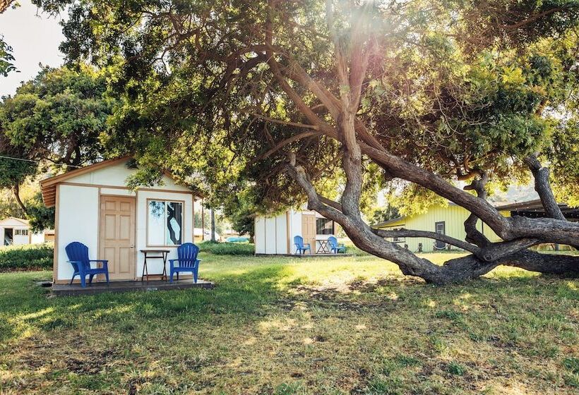 Отель White’s Landing Catalina Camp