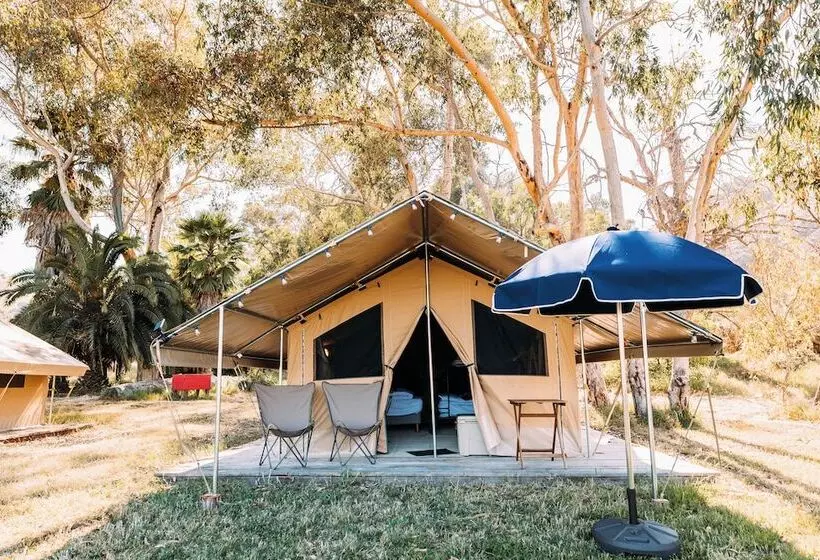 Hotelli White’s Landing Catalina Camp