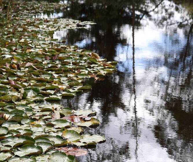 Stayau 2br Yarra Valley Cottage