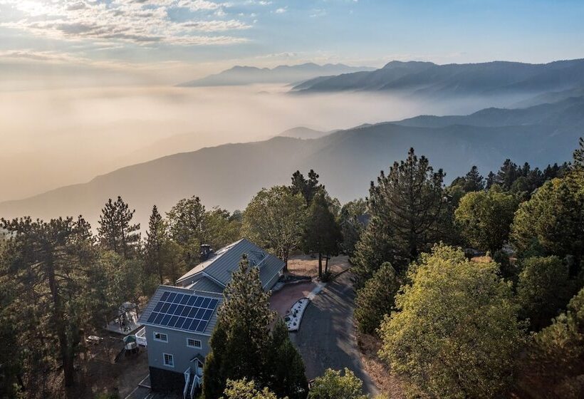 Enchanted Forest By Avantstay Indoor Hot Tub!
