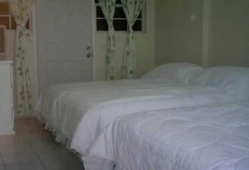 مسافرخانه Hilltop View Guesthouse