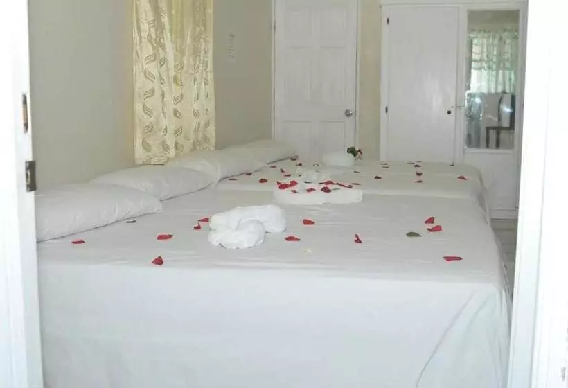 مسافرخانه Hilltop View Guesthouse