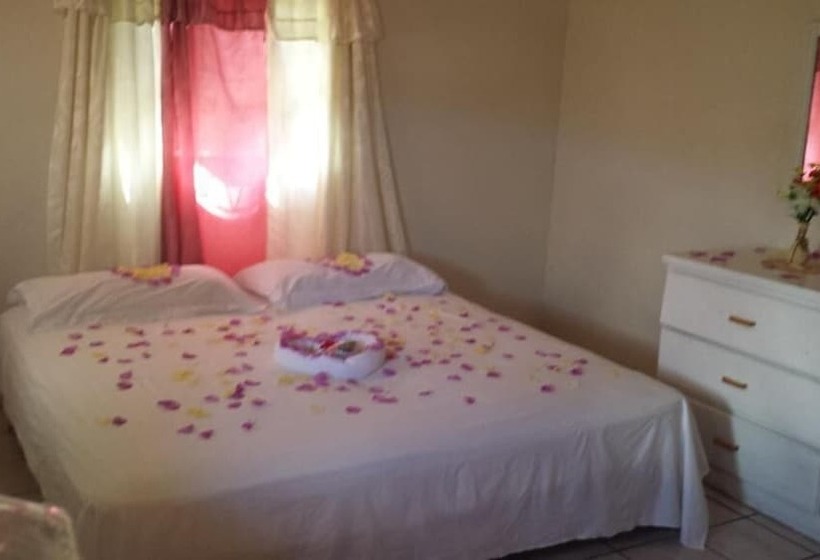 مسافرخانه Hilltop View Guesthouse