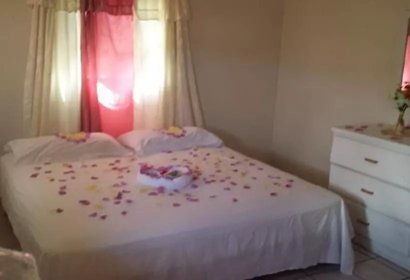 مسافرخانه Hilltop View Guesthouse