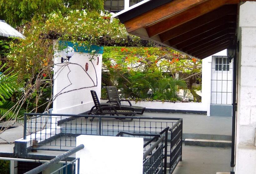 호스텔 Hostal Entre 2 Aguas