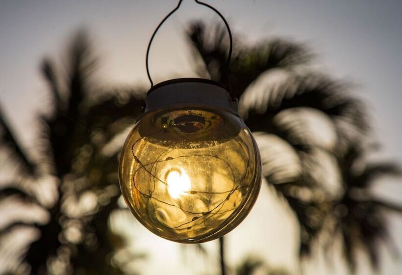 Beach Hotel Casa Nina