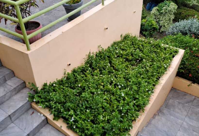 تختخواب و صبحانه Ade's Domicil