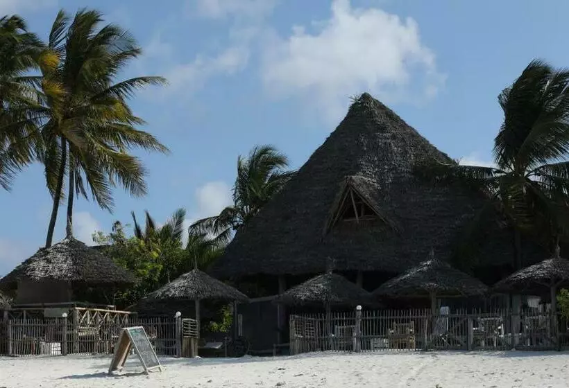 تختخواب و صبحانه Bahari Beach Bungalows