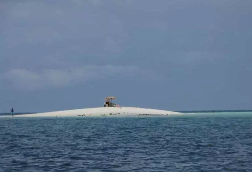 تختخواب و صبحانه Bahari Beach Bungalows