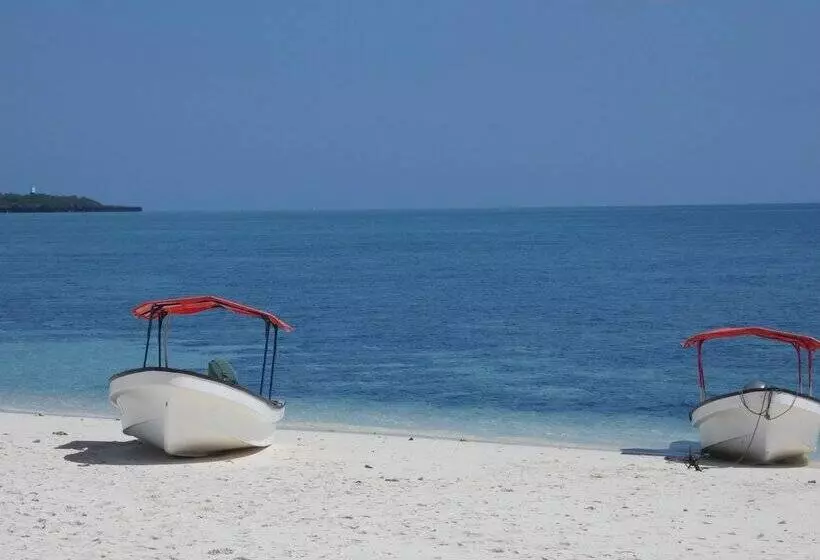 تختخواب و صبحانه Bahari Beach Bungalows