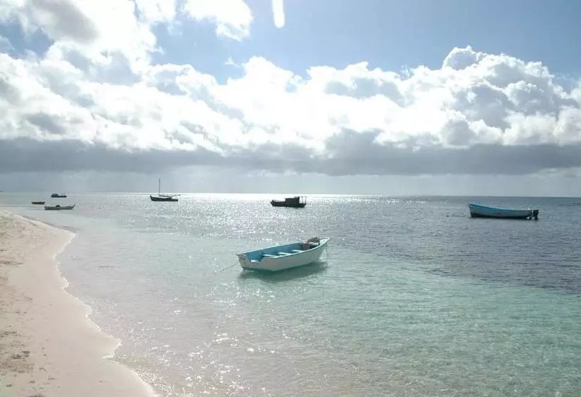 تختخواب و صبحانه Caraibidamari