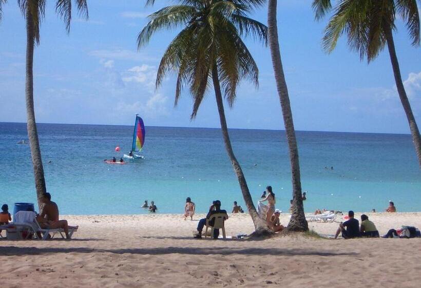 تختخواب و صبحانه Caraibidamari