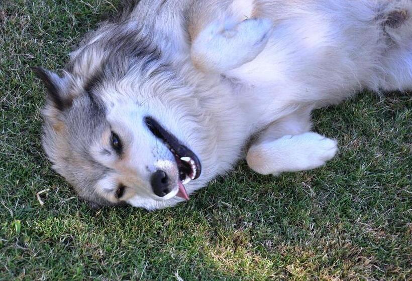 Bed & Breakfast Hale Lau