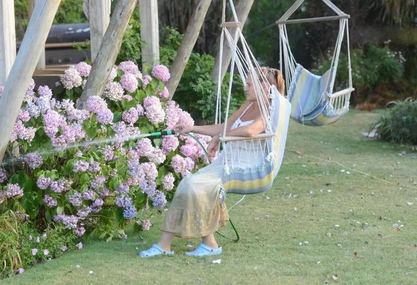 تختخواب و صبحانه Hale Lau