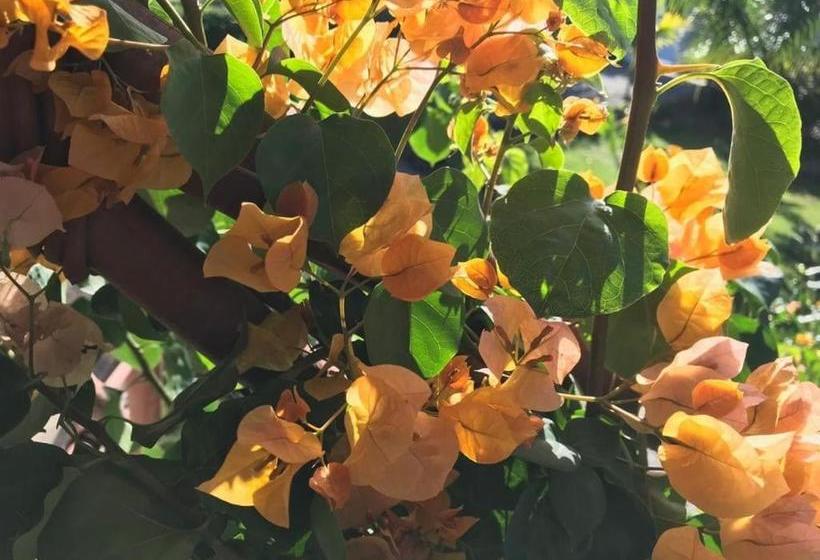 تختخواب و صبحانه La Casa De Sergio Y Cristina