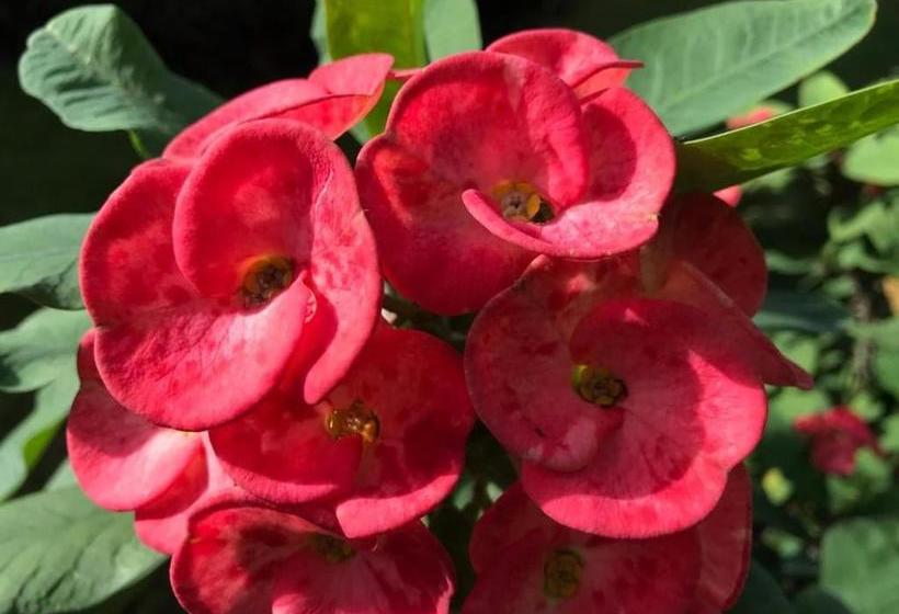 تختخواب و صبحانه La Casa De Sergio Y Cristina