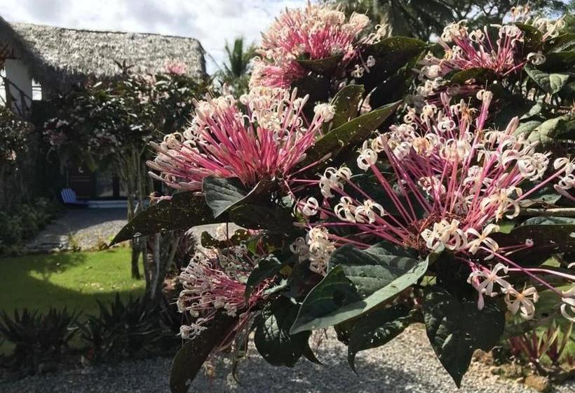 تختخواب و صبحانه La Casa De Sergio Y Cristina