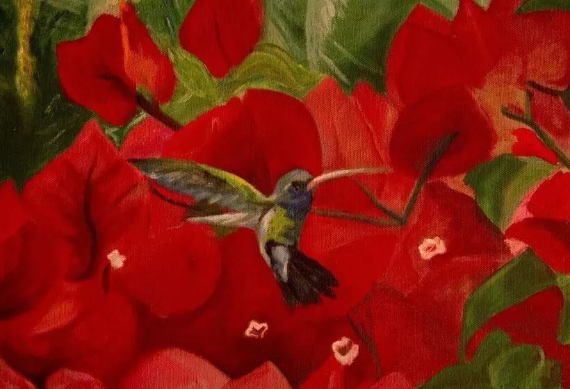 هتل Colibri