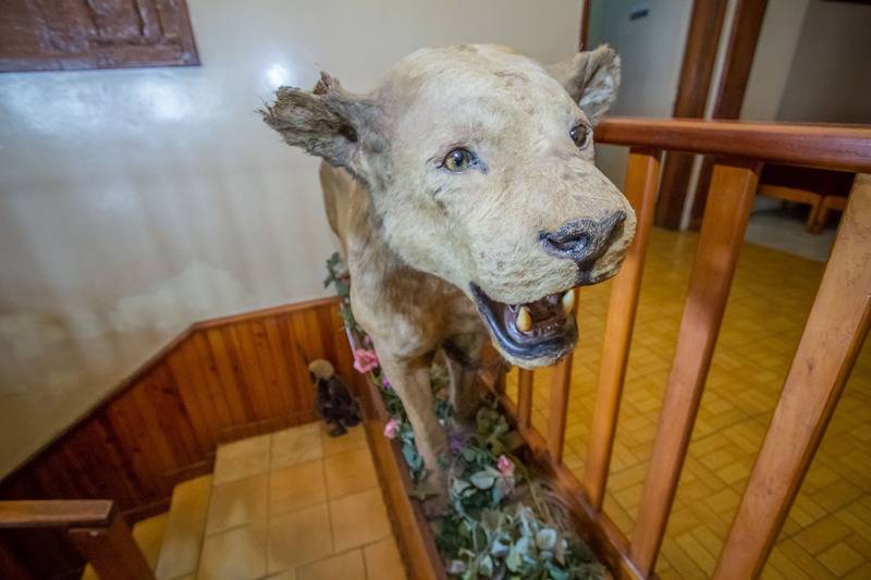 Отель Diplomate