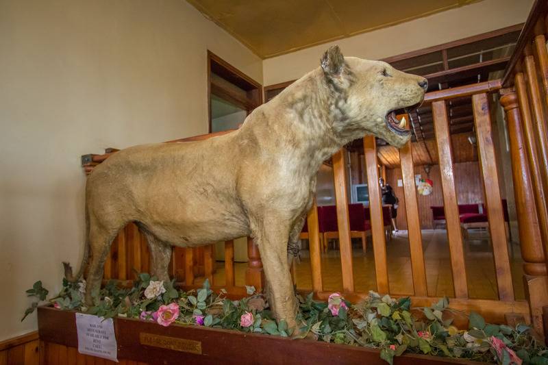 Отель Diplomate