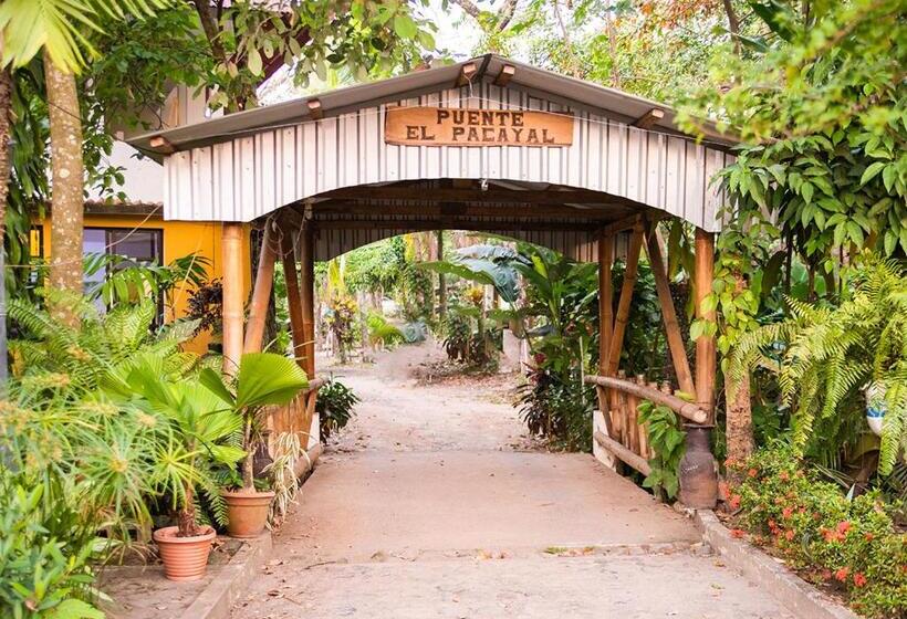 هتل Mansión Los Guichos