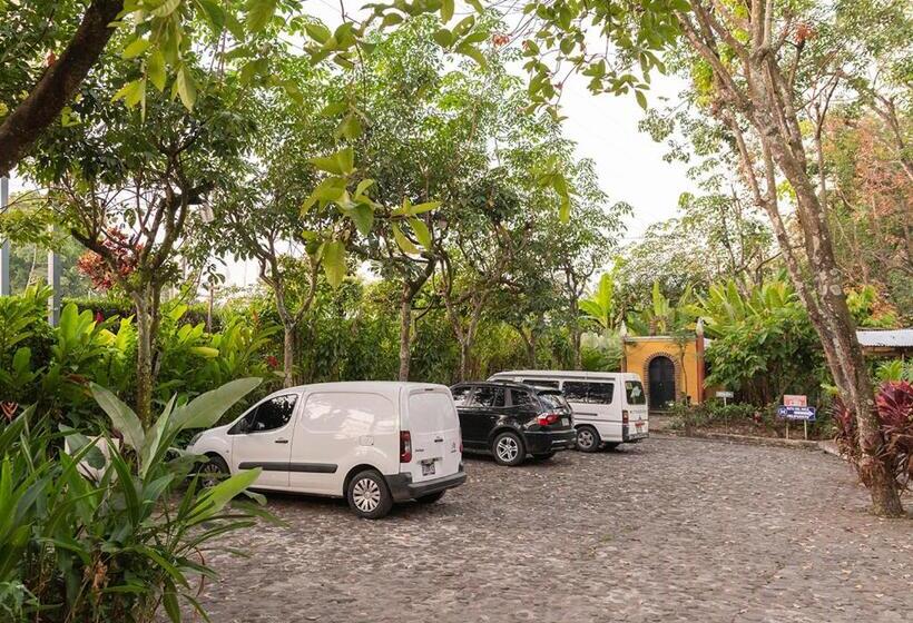 هتل Mansión Los Guichos