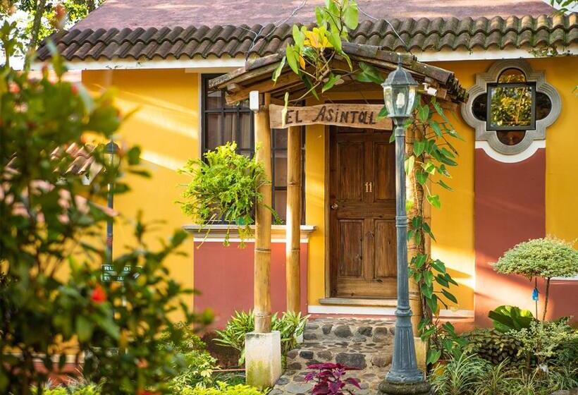 هتل Mansión Los Guichos