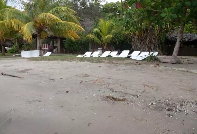 هتل Salvador Gaviota