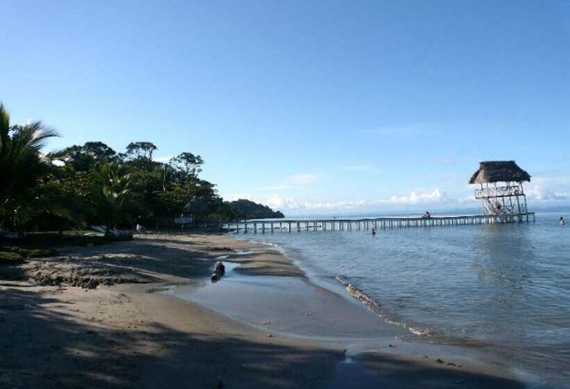 هتل Salvador Gaviota