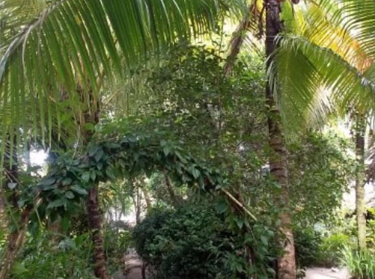 هتل Salvador Gaviota