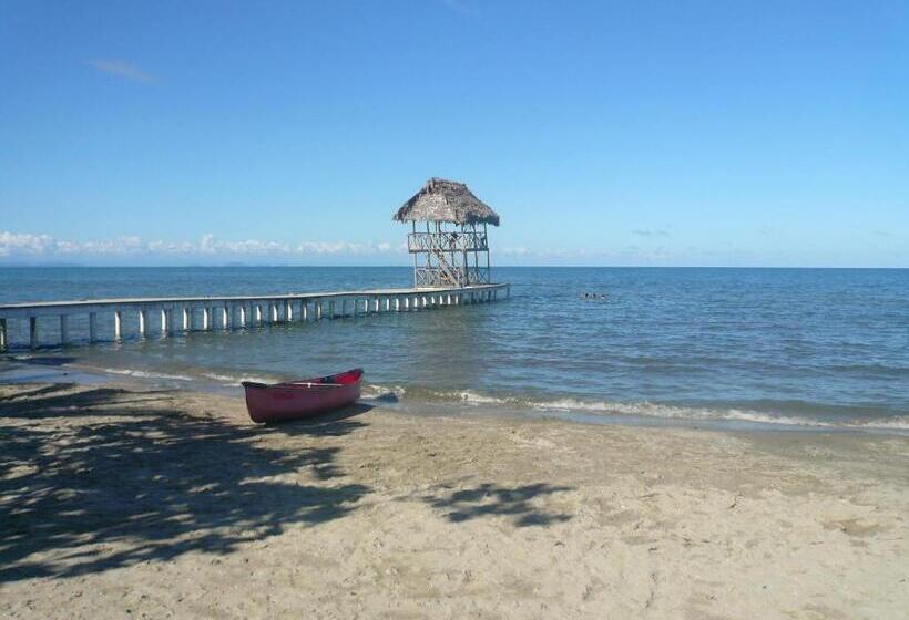 هتل Salvador Gaviota