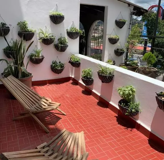 Palmira Hostel